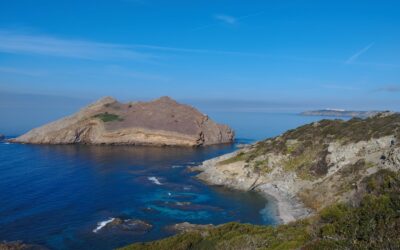 In cammino da coscia di donna a cala puntello